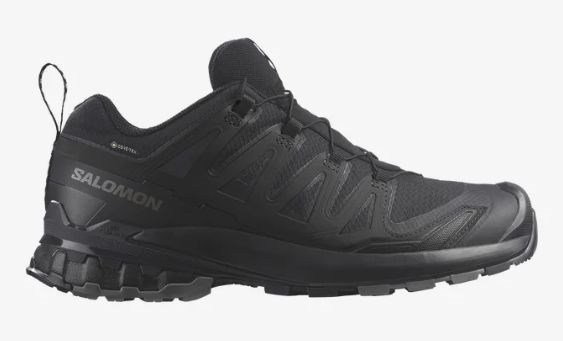 Кроссовки XA PRO 3D V9 GTX Phantom Salomon