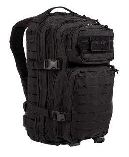 {{productViewItem.photos[photoViewList.activeNavIndex].Alt || productViewItem.photos[photoViewList.activeNavIndex].Description || 'Рюкзак US ASSAULT LASER CUT Small Black (20 л) Mil-Tec'}}