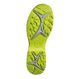 Кроссовки Black Eagle Adventure 2.1 GTX Stone-Citrus Low HAIX 330031