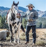 Джинсы Greyman Tactical Helikon-Tex SP-GTJ-DD-31