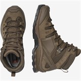 Ботинки Quest 4D GTX Forces 2 EN Earth Brown Salomon 308109-EB