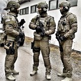 Ботинки Black Eagle Athletic 2.0 V GTX mid Sage HAIX 330010